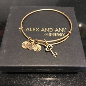 Alex and ani key charm bracelet